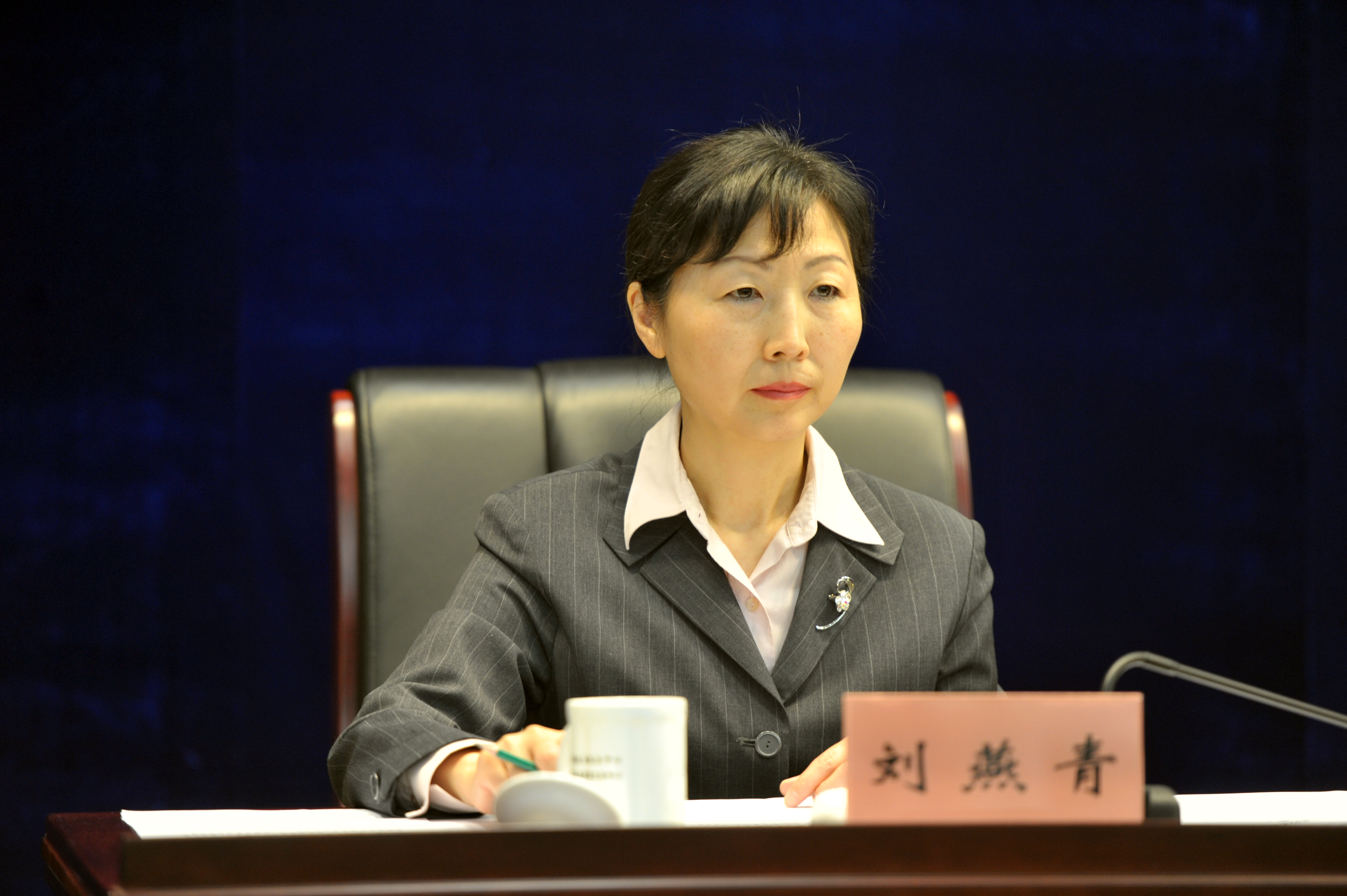 省国资委考核分配处处长 刘燕青