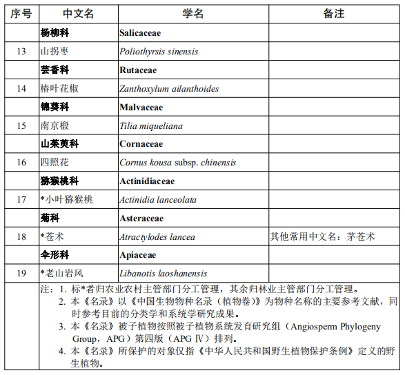 新澳门中特钢