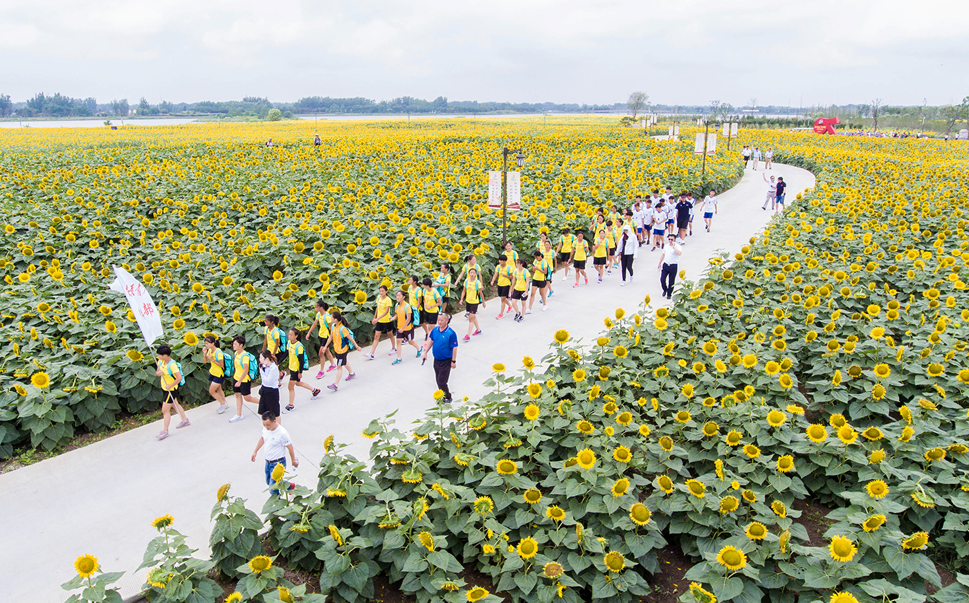 淮安美食美客_美食美客酸奶吧加盟_淮安美食美客