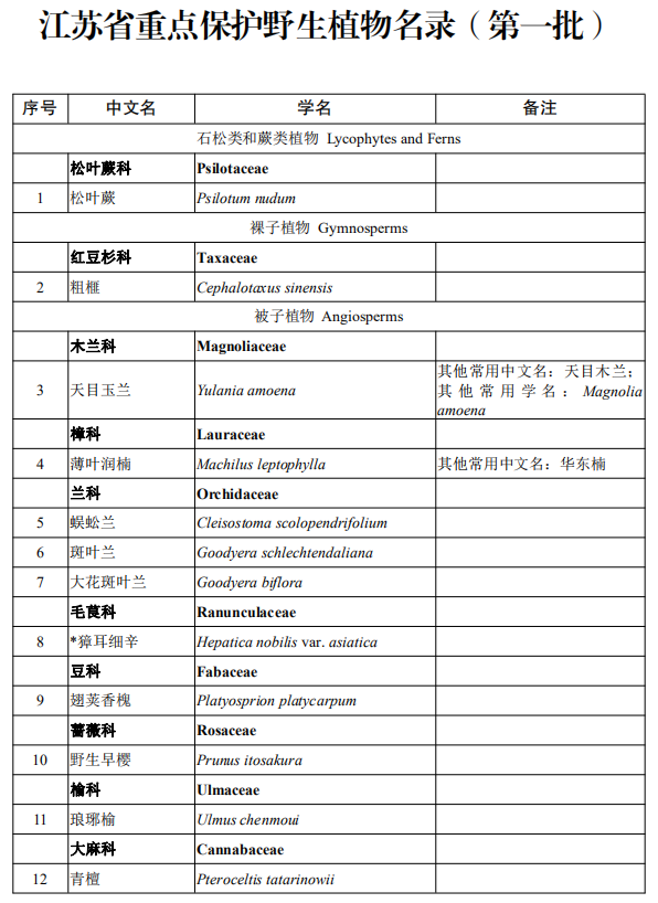 管家婆全年资料