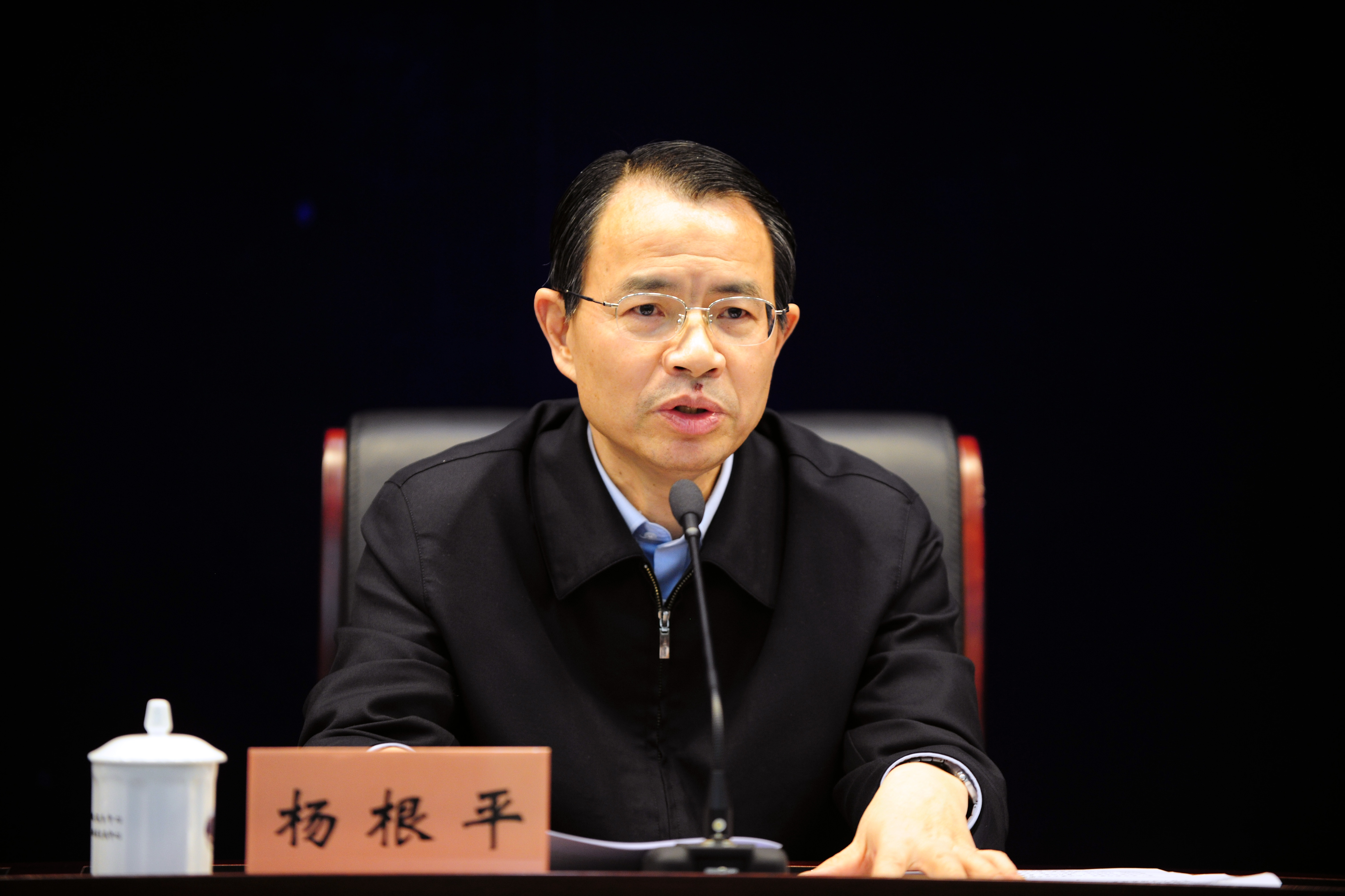 杨根平 省委副秘书长,省政府副秘书长