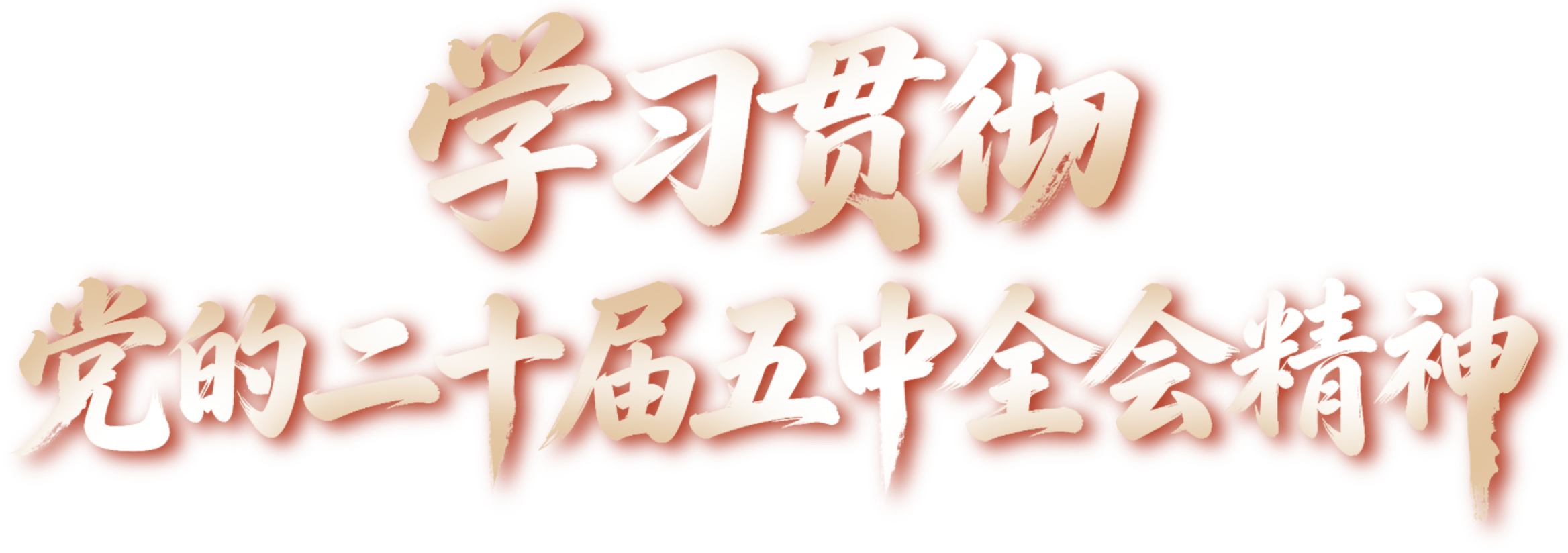 学习贯彻党的二十届五中全会精神