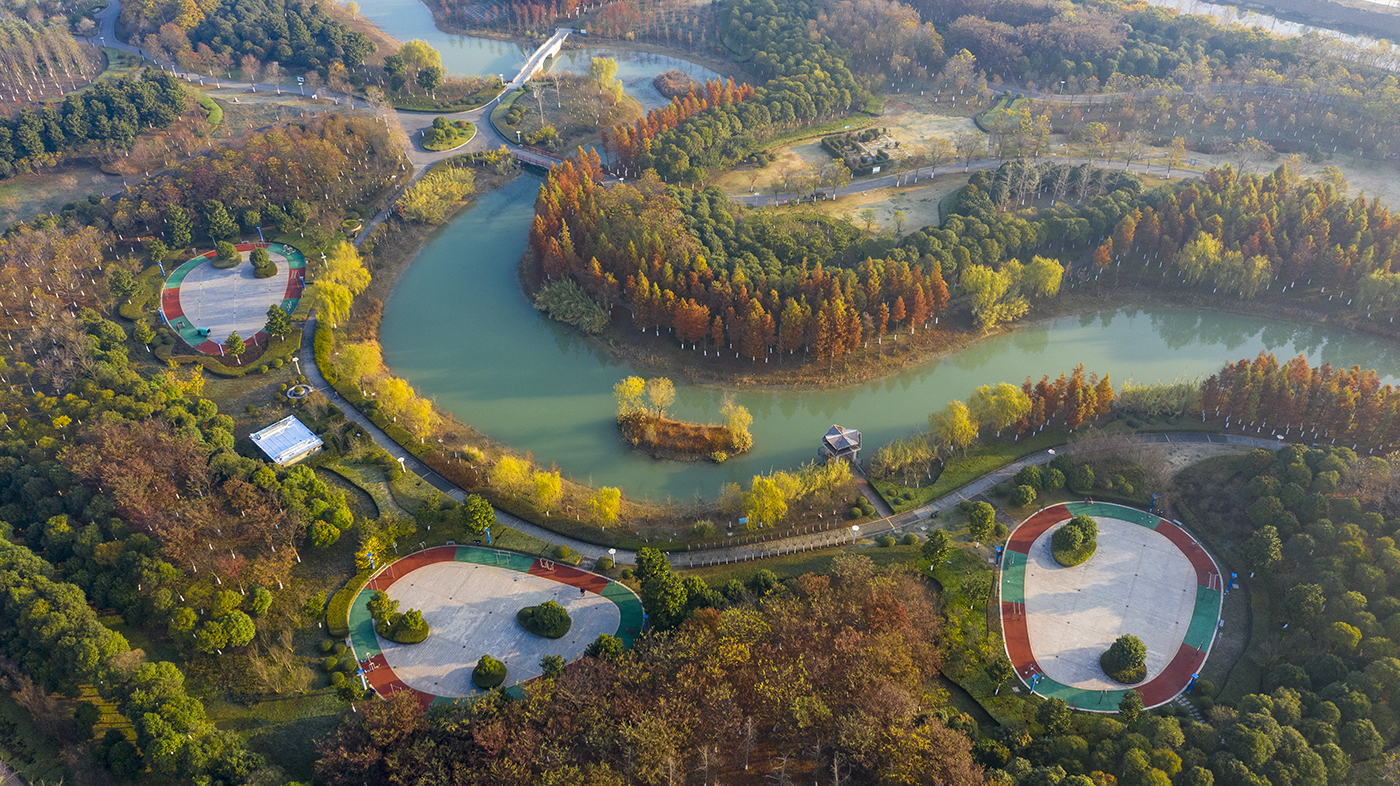 泗洪:冬日美景如画