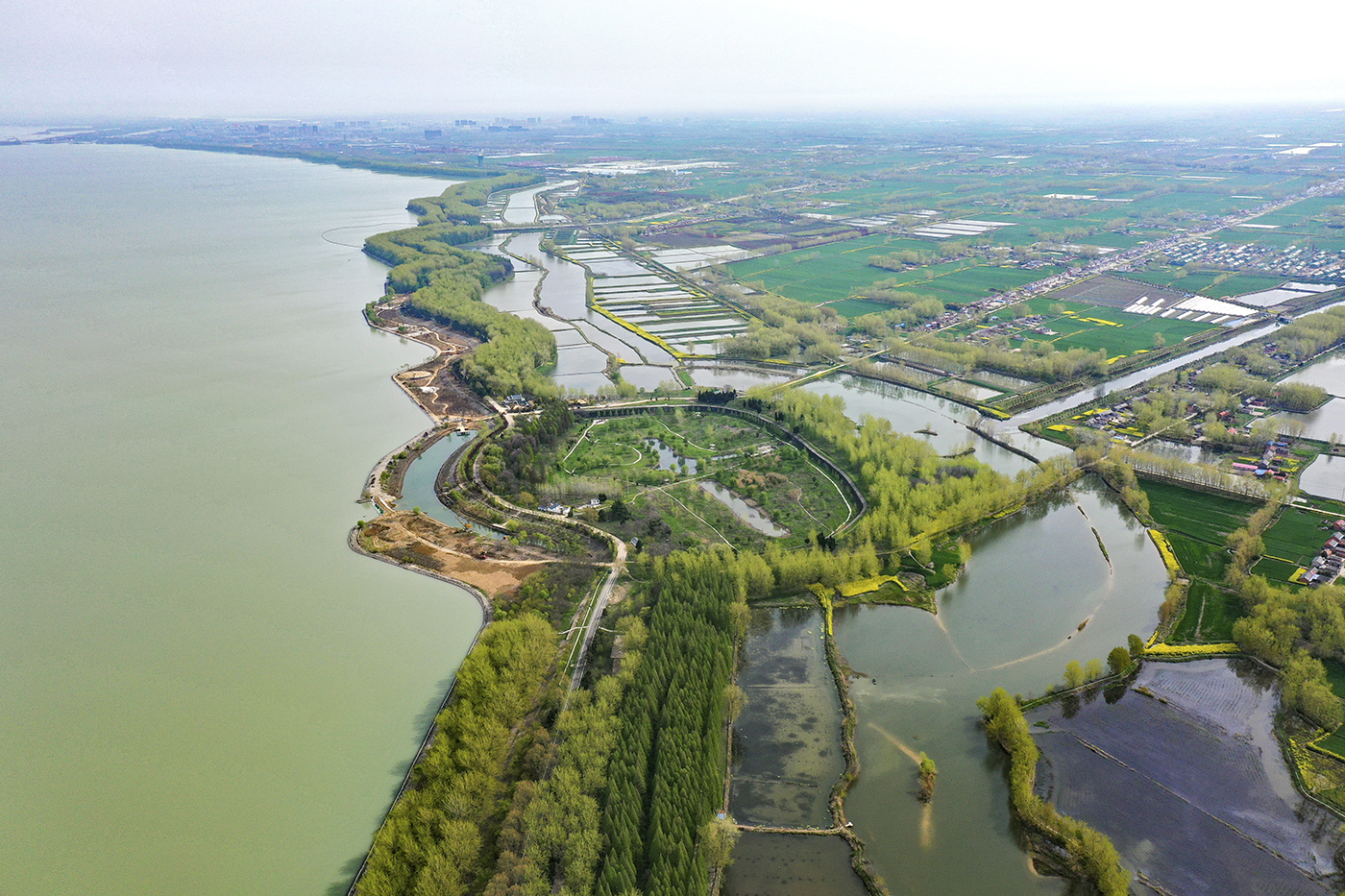 江苏省人民政府 图片新闻 淮安:洪泽湖大堤生态修复工程加速推进