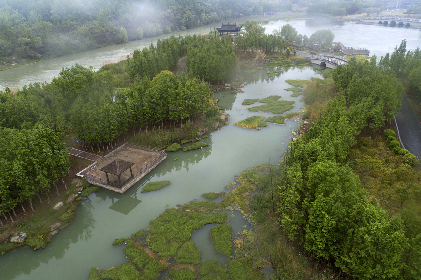 淮安:古黄河湿地公园成健身氧吧